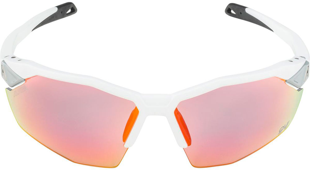 Alpina_A8727511_TwistSix_Sportbrille_ (3).jpg