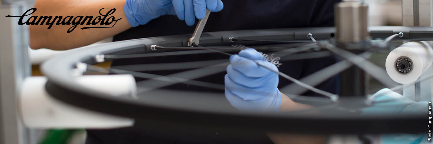 campagnolo.jpg