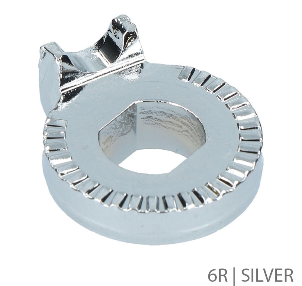 6R-Silver.jpg