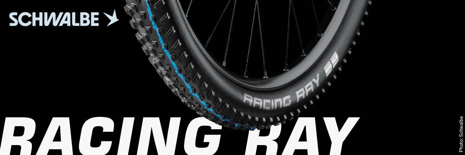 schwalbe_racingray.jpg