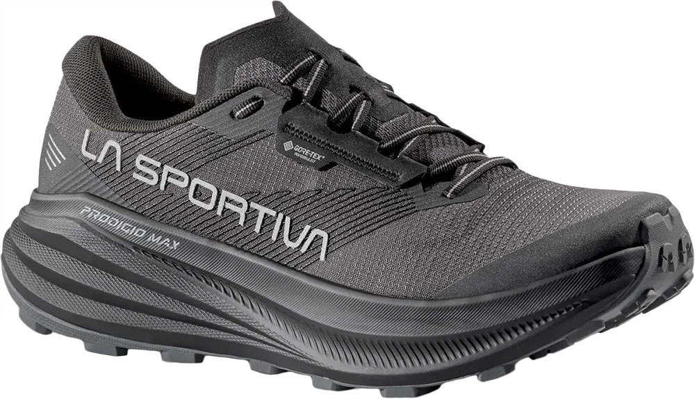 Prodigio Max GTX - Chaussures de trail noir/réfléchissant