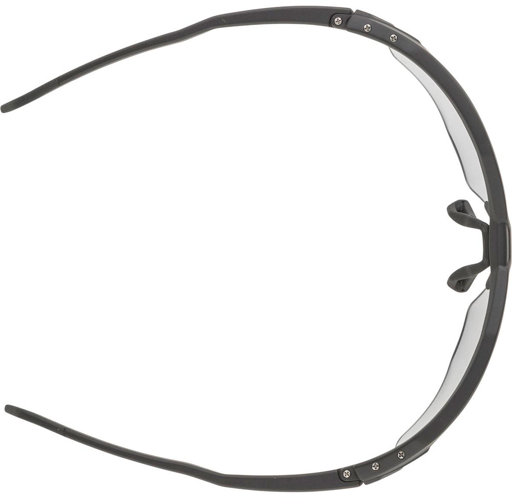 Alpina_A8719131_TwistSixHRV_Sportbrille_ (2).jpg