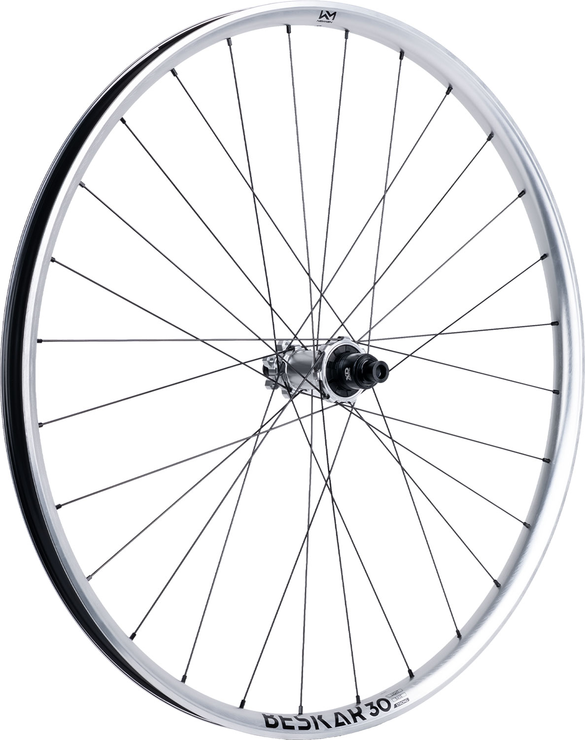 Beskar 30 strong 29" 6-Loch 12x148 FADE Silver LTD Hinterrad