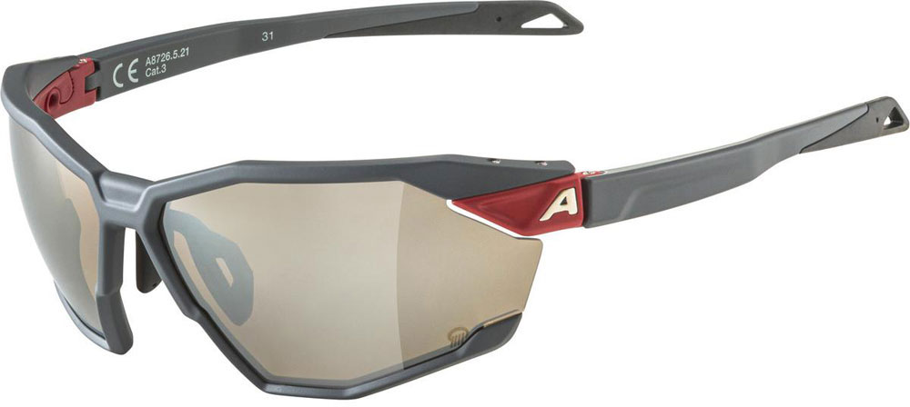 Alpina_A8726521_TwistSixQ_Sportbrille_ (1).jpg