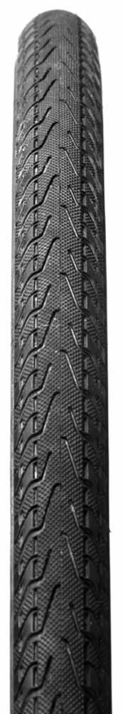 Panaracer-Pasela-ProTite-Faltreifen-RF732-LX-18PT2-2.jpg