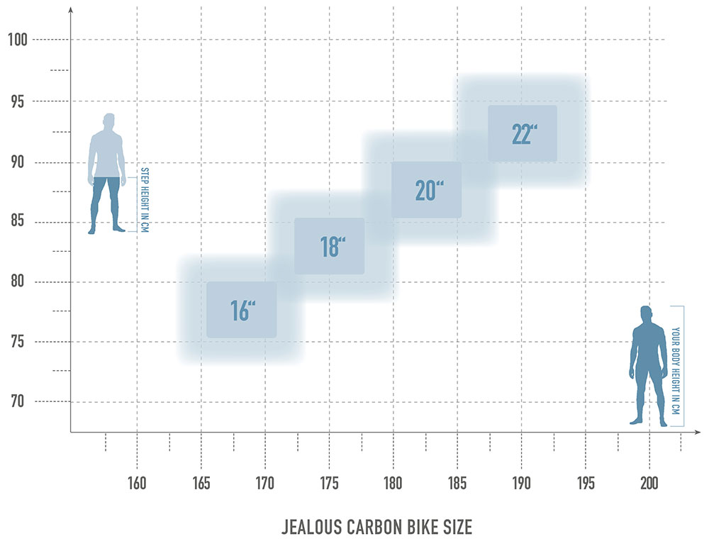 bikesize_jealous_carbon.jpg