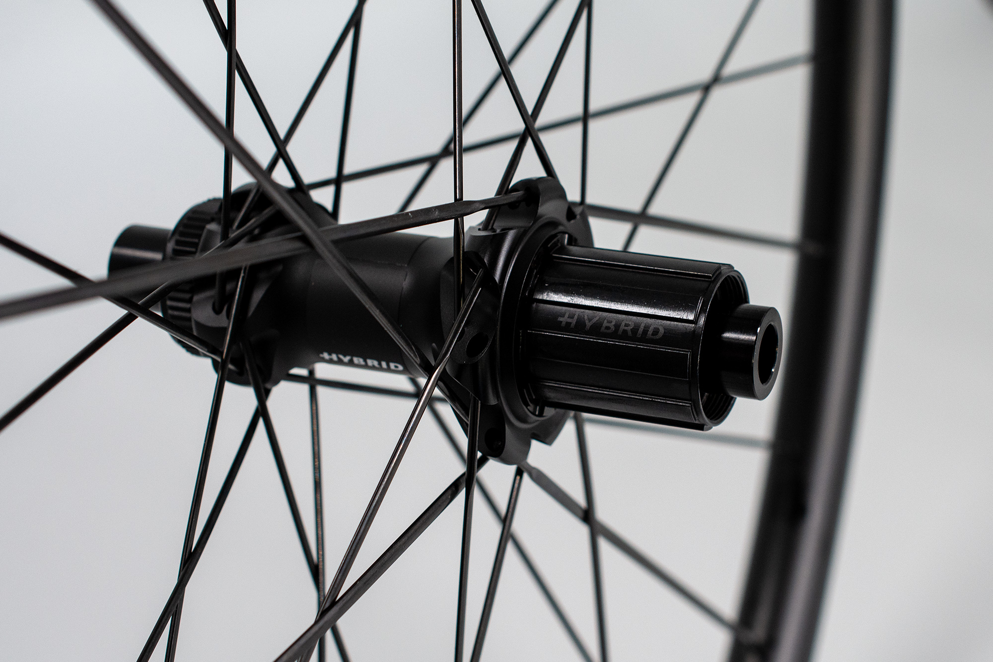 HG 1800 Spline® 25 29" CL HYBRID Rueda trasera Shimano HG TOP-DEAL