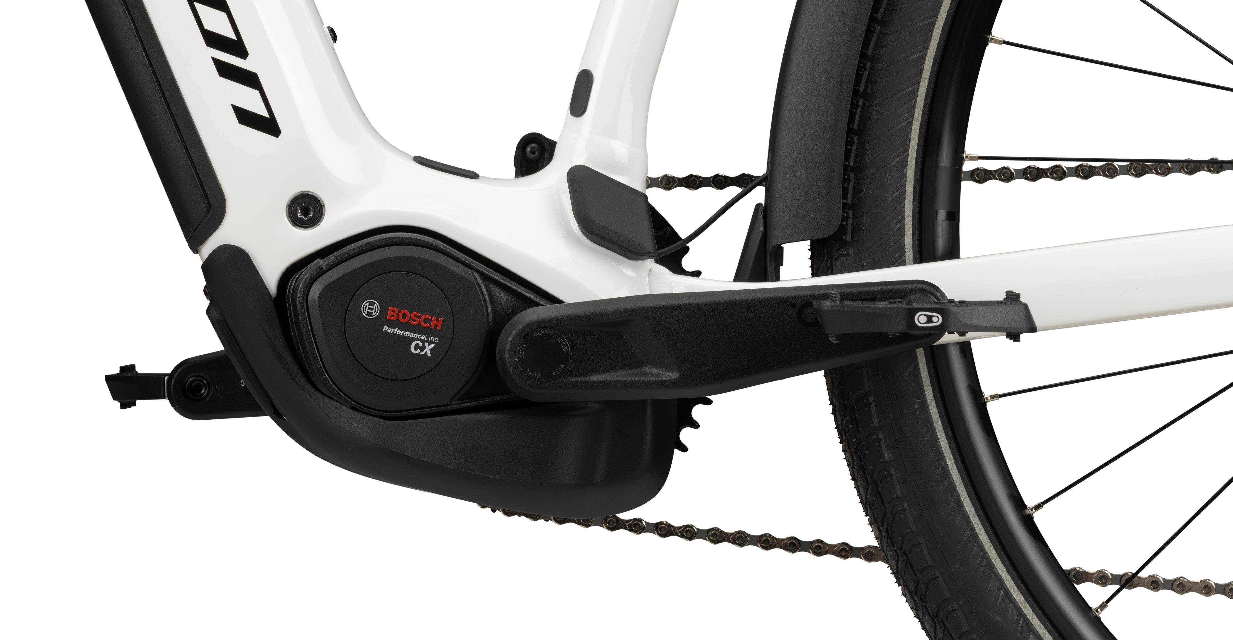 RELATE 7.0 LADY 800