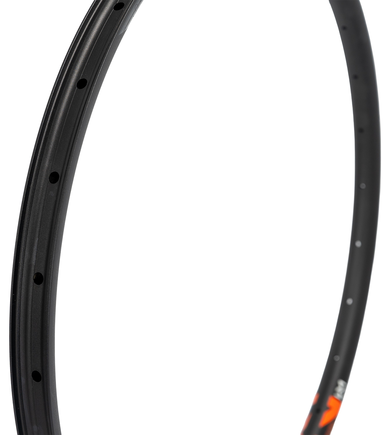 Evolution SL E.G.30 29" 28 hole rim