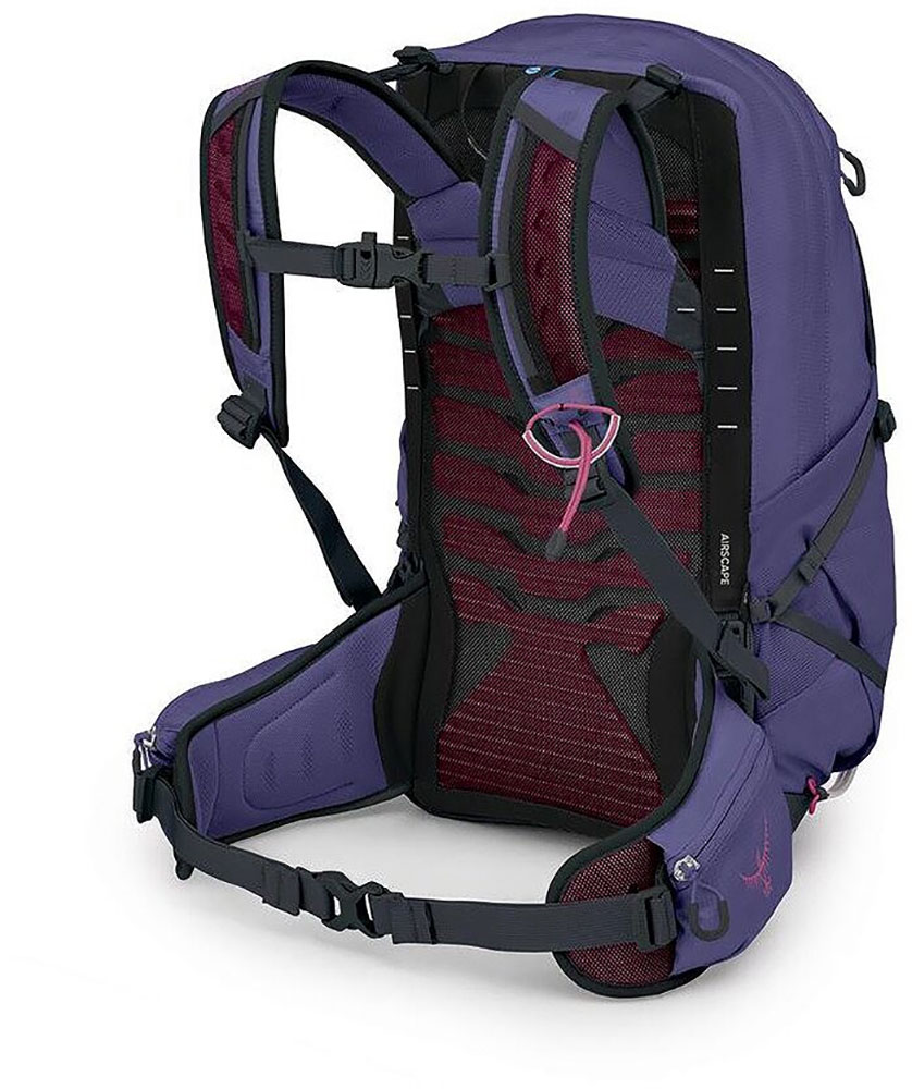 Tempest 22 - Wanderrucksack deep fig hotspot pink