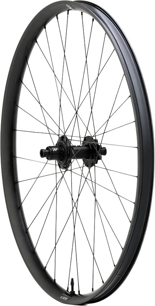 Sektor AL Hydra2 29" 6-bolt rear wheel