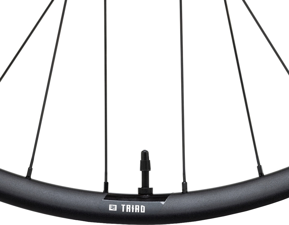Triad AL Hydra2 29" 6-Loch Boost Hinterrad