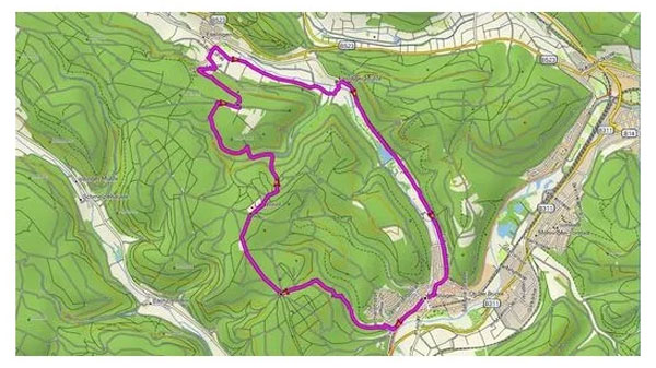 Garmin-TOPO-Deutschland-V9-PRO-microSD-010-11288-07-2.jpg