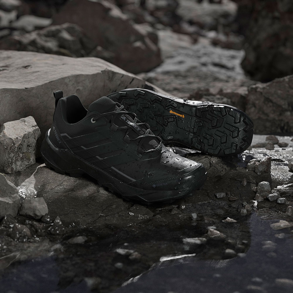 Adidas_JQ2210_Terrex_Skyschaser_AX5_GTX_Wanderschuhe (3).jpg