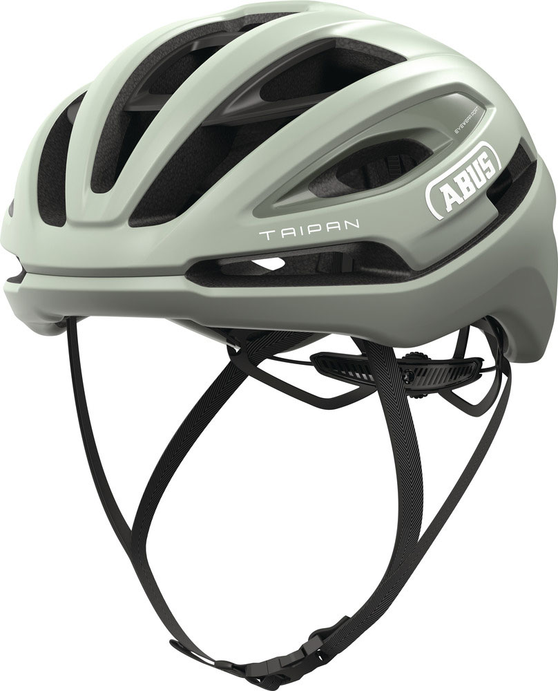 ABUS_Taipan_FrostedGreen (1).jpg