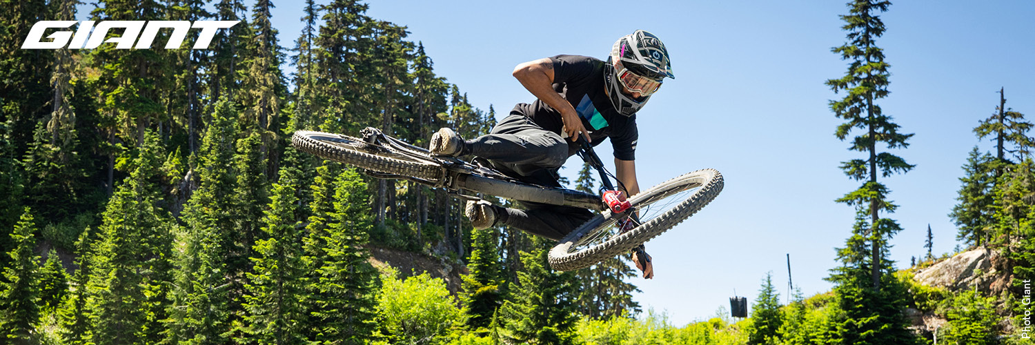 giant_bikes.jpg