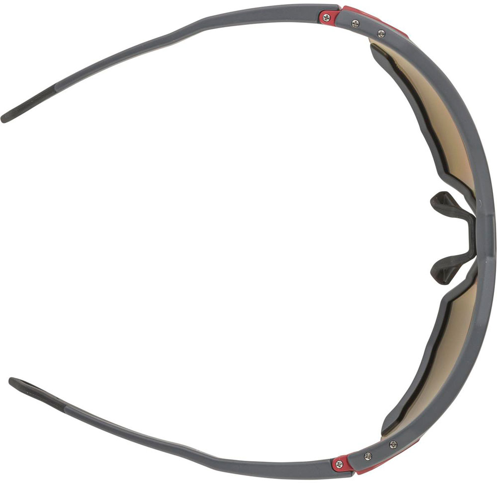Alpina_A8726521_TwistSixQ_Sportbrille_ (2).jpg