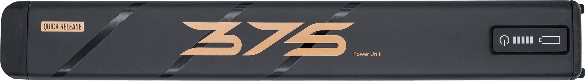 rotwild-bmz-bat-x_20166336 R.375 Carbon Batterie  (2).jpg
