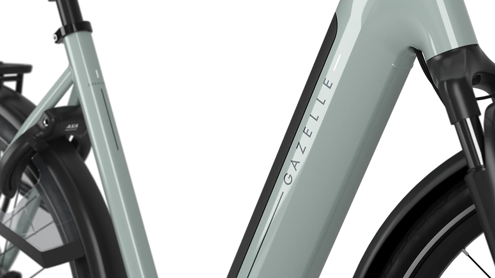 Gazelle  BGA0187 20163890 Grenoble C8 Low-Step  (2).jpg