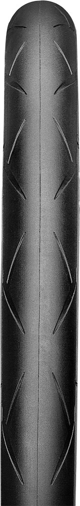 hutchinson-blackbird-3.jpg