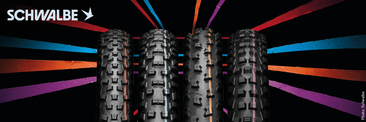 schwalbe_addix.jpg