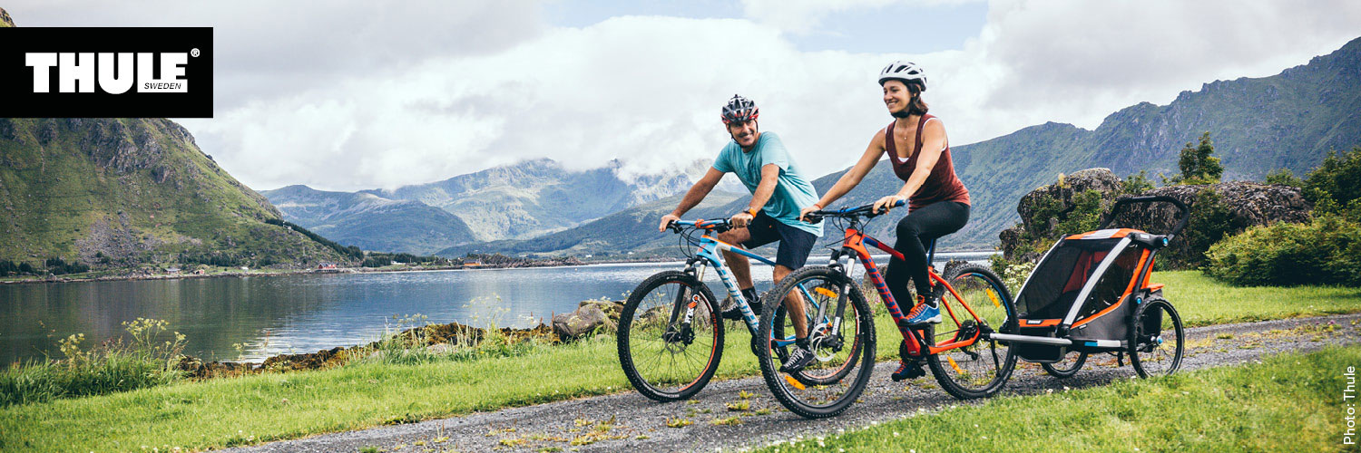 xxl fahrrad e bike Frühjahres-Angebot XXL E-Bike bis 170 kg Lehmkuhl P5.5 Pedelec Bosch M –  fahrrad-Ass.de main image 0