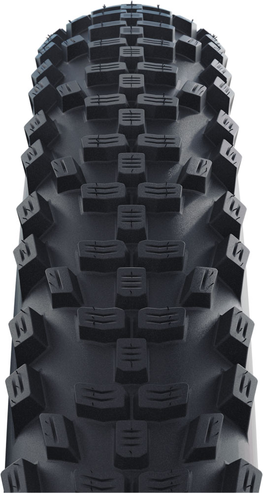 Schwalbe-Smart-Sam-(2).jpg