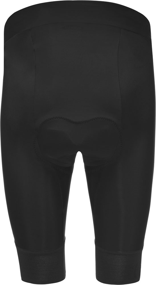 Gore_101116_Swiftride_Radhose_mit_Polster (1).jpg