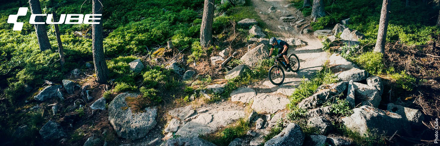 cube_e-bike_fullsuspension.jpg