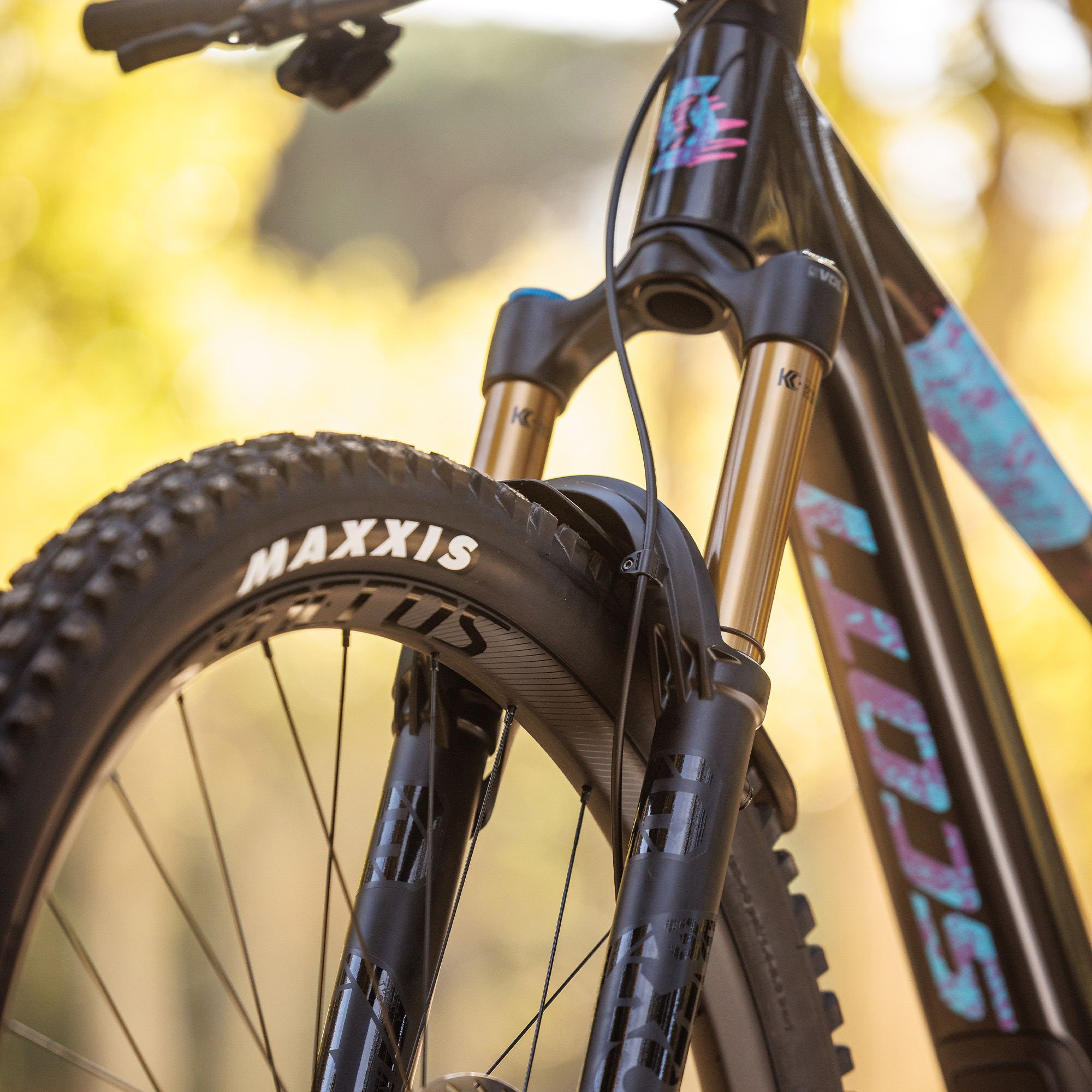 293294--Voltage-eRide-900-Tuned-(EU)(5).jpg