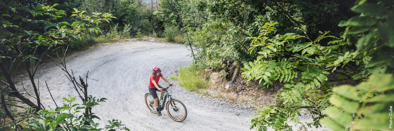 ebikes_e-bike_cross-damen.jpg