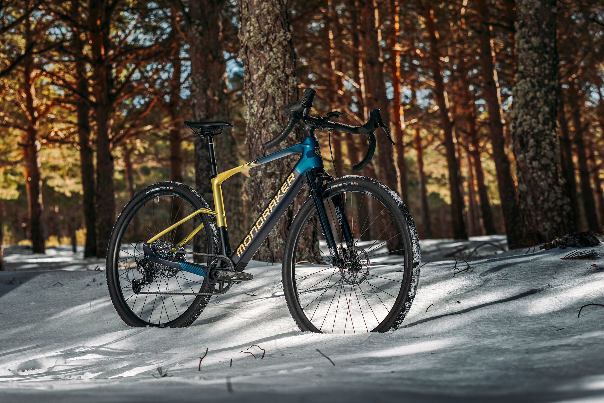 Mondraker 01025395 20140924 DUSTY R  (16).jpg