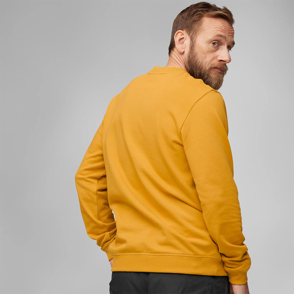 Fjällräven_1964-Logo-Badge-Langarmshirt_F87163-555 (2).jpg
