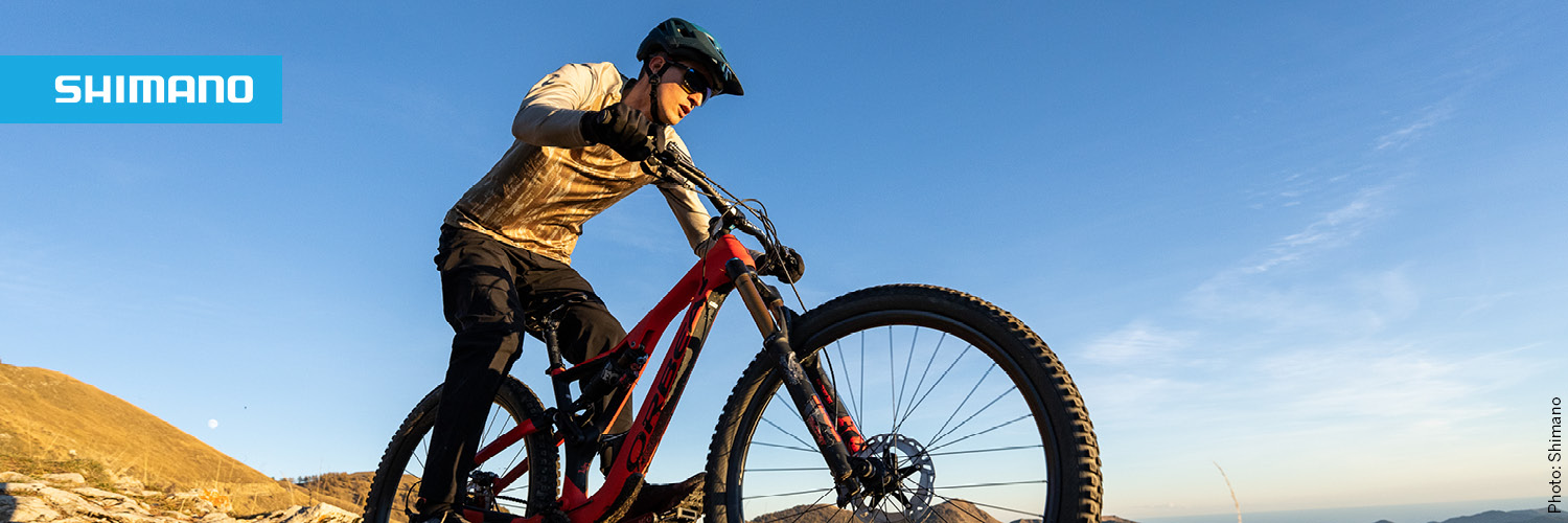 shimanobekleidung_mtb_herren.jpg