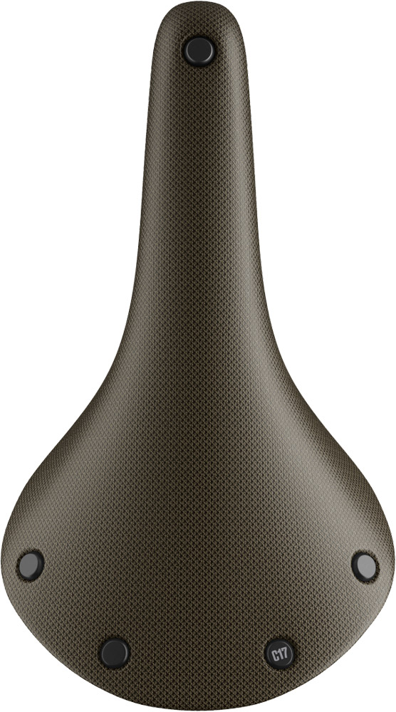 Brooks-Cambium-C17-All-Weather-Naturkautschuksattel-80400010_b.jpg