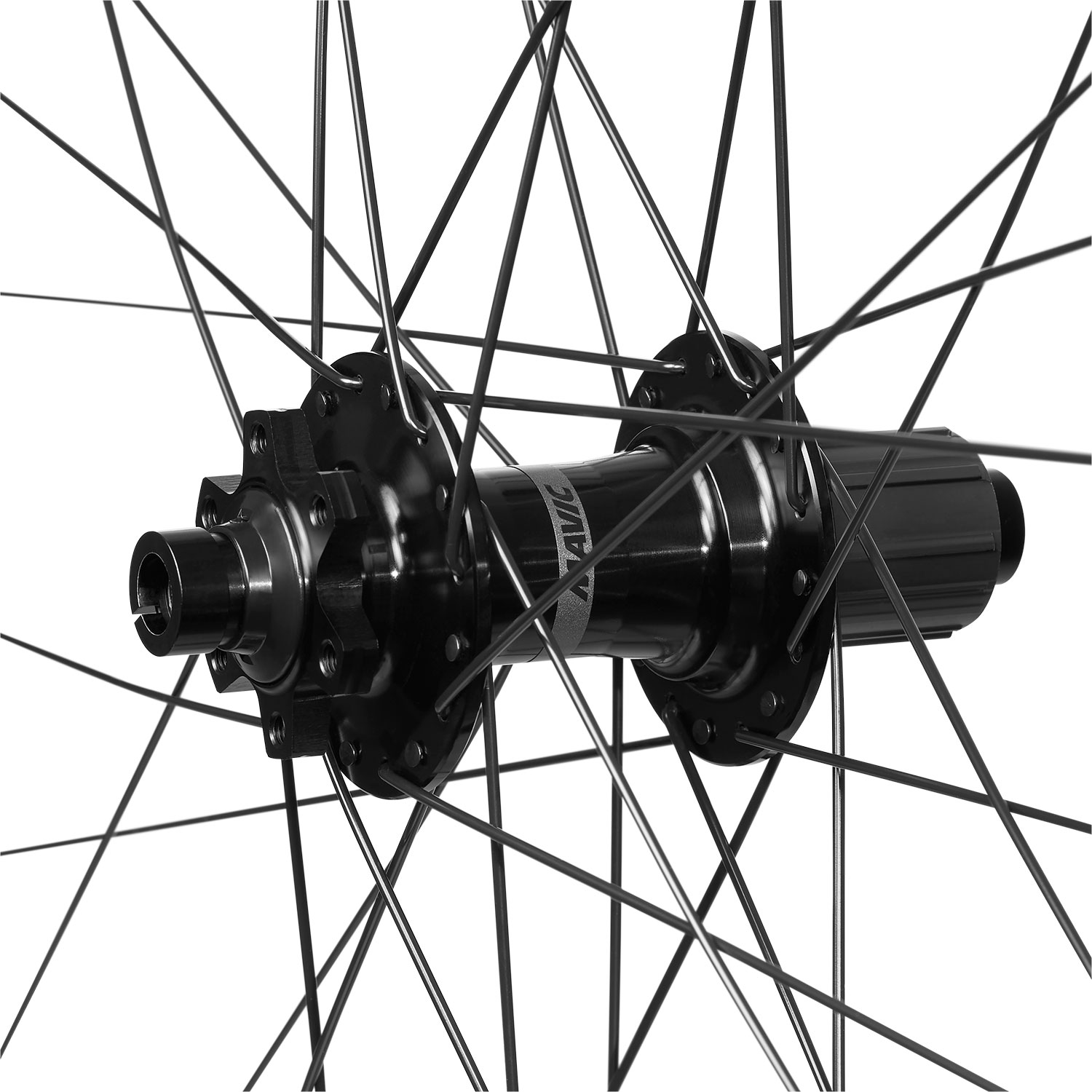 Mavic-E-Crossride-1-(2).jpg