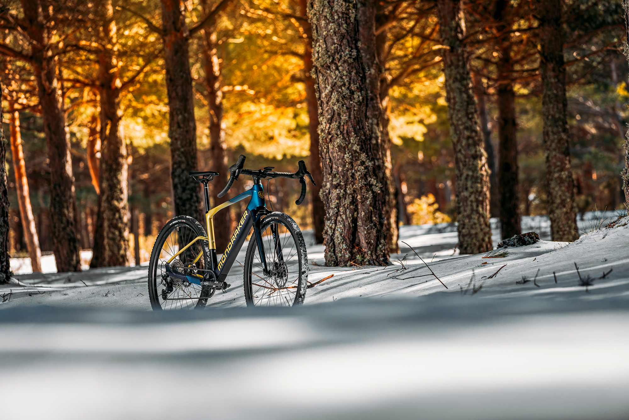 Mondraker 01025395 20140924 DUSTY R  (15).jpg