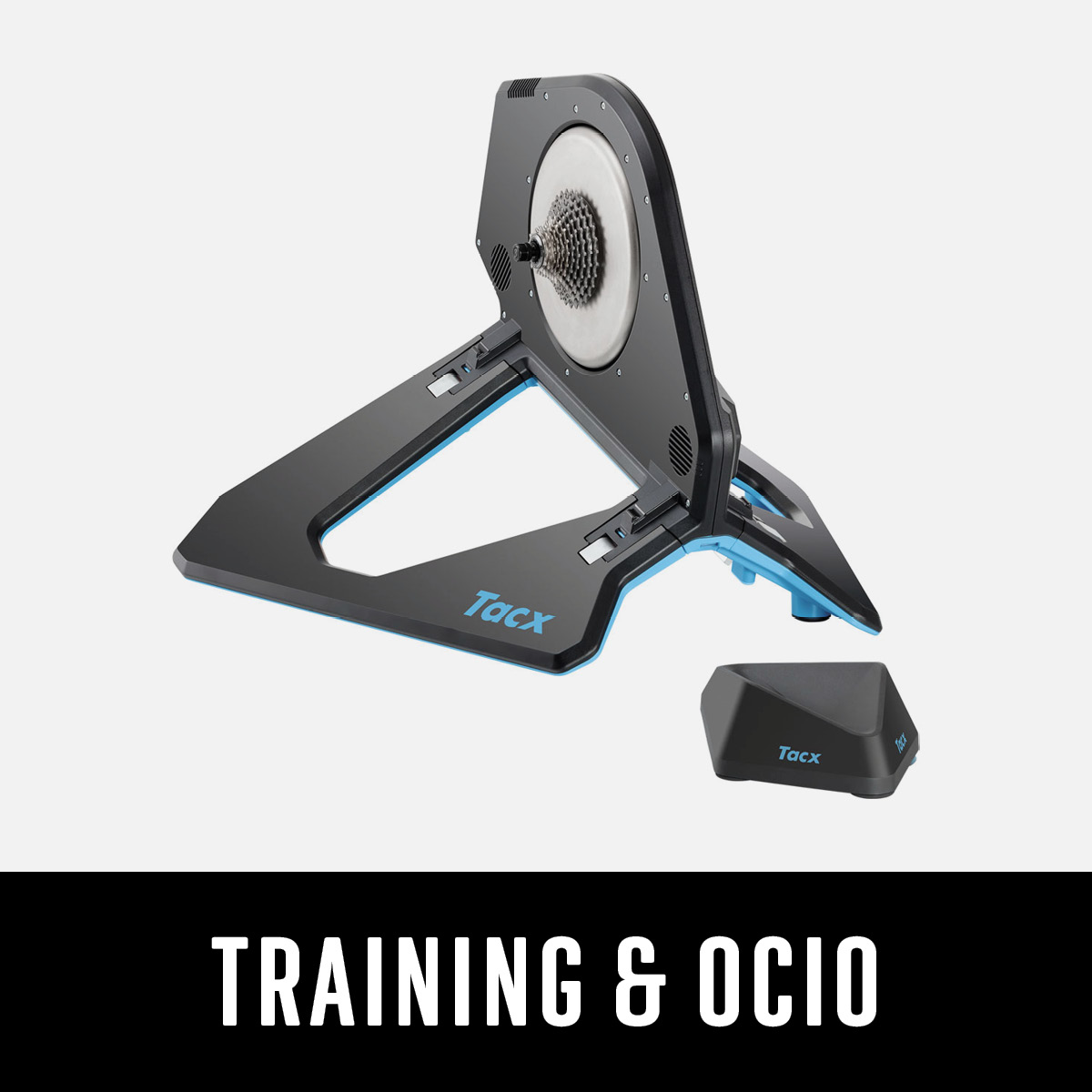 Training & Ocio