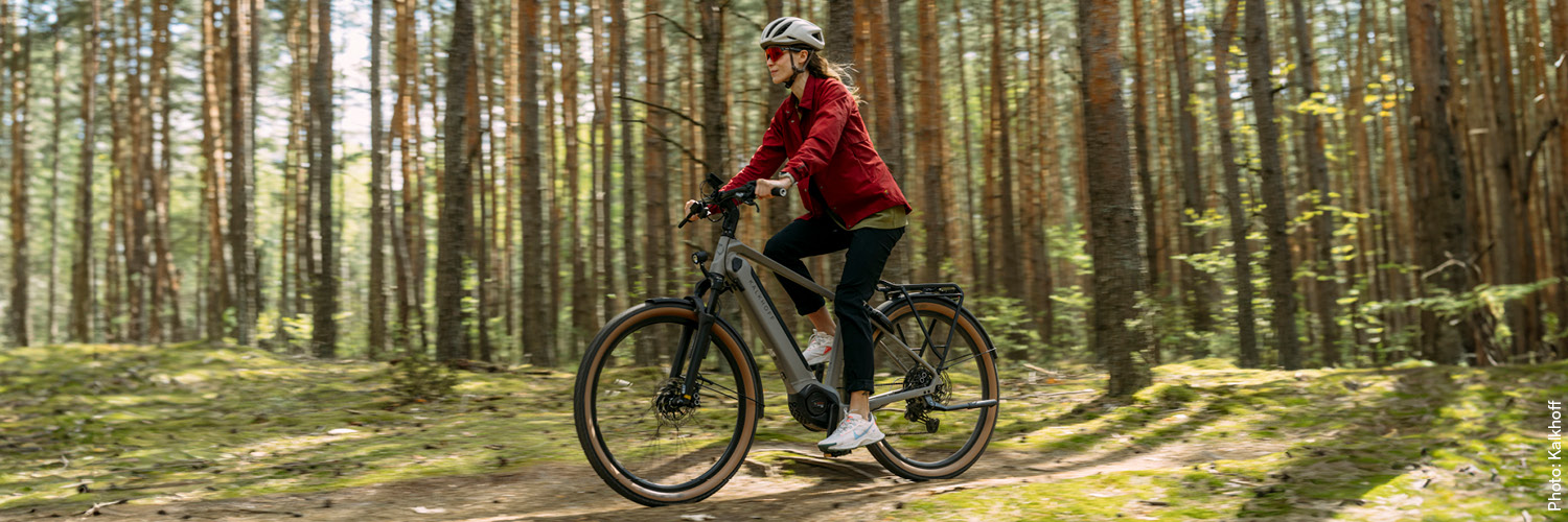 ebikes_e-bike_trekking-damen_02.jpg
