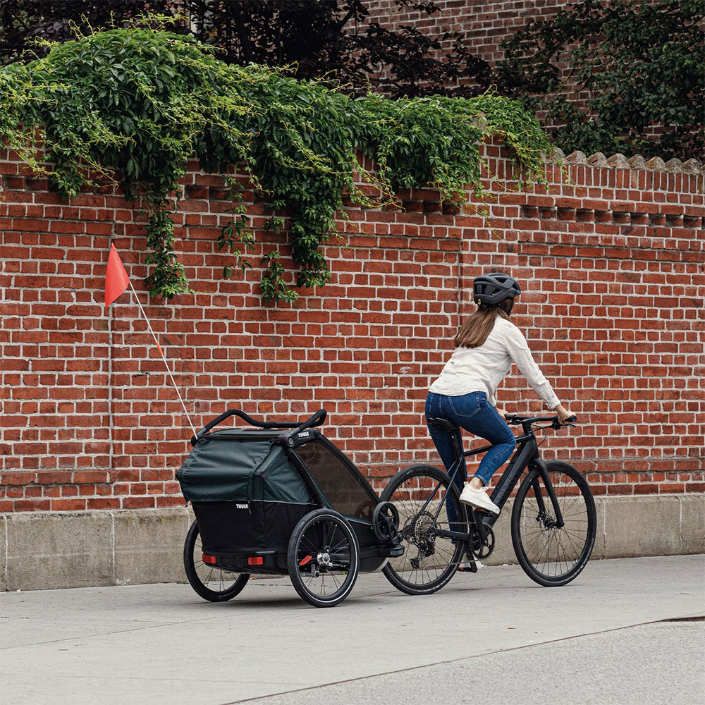 Thule-Chariot-Cab-10204022-(7).jpg