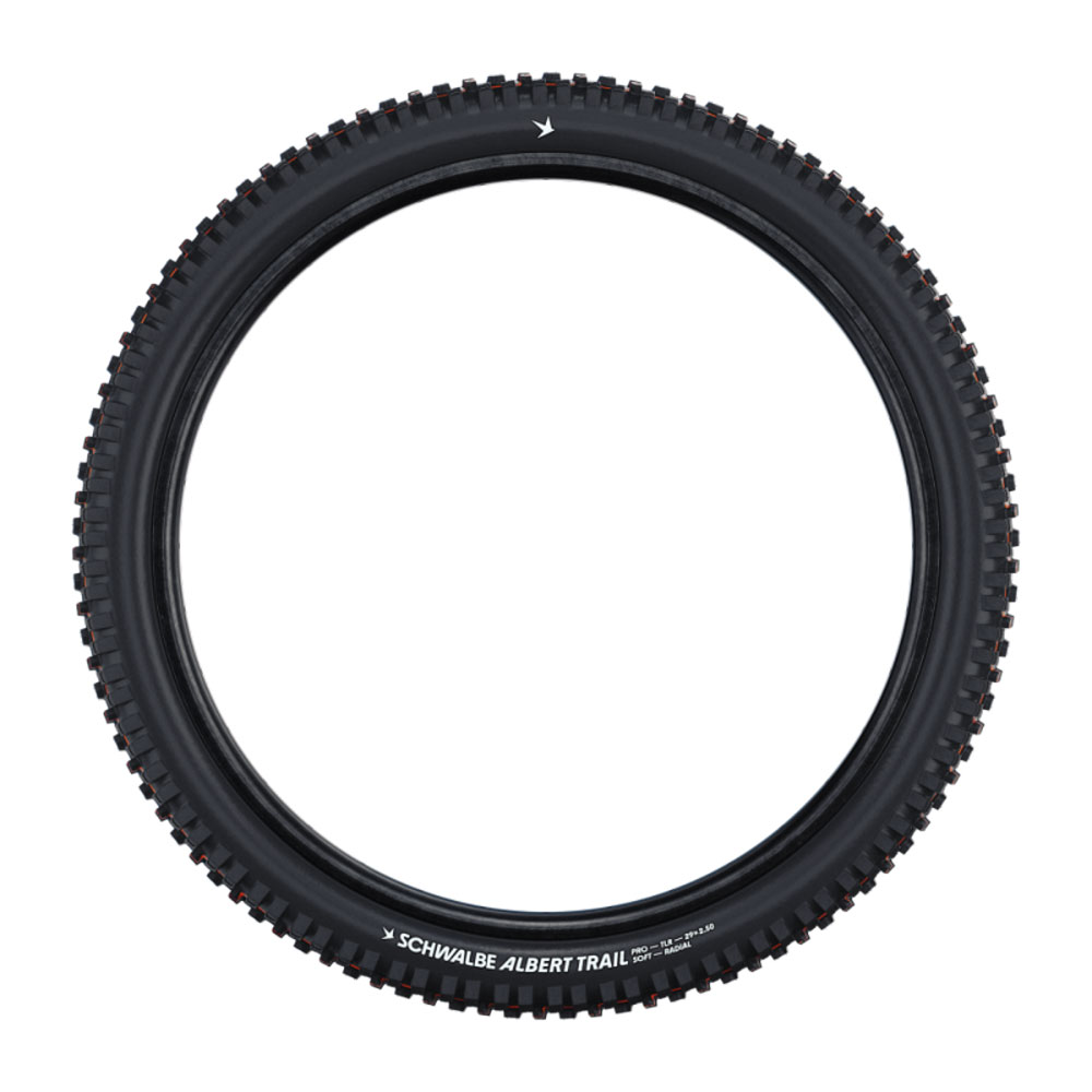 842k46hj1p1897qi60p47d8l7f_hs641_schwalbe_albert-gravity_pro_addix-soft_totale_800x8sdfsdf00-(1).jpg