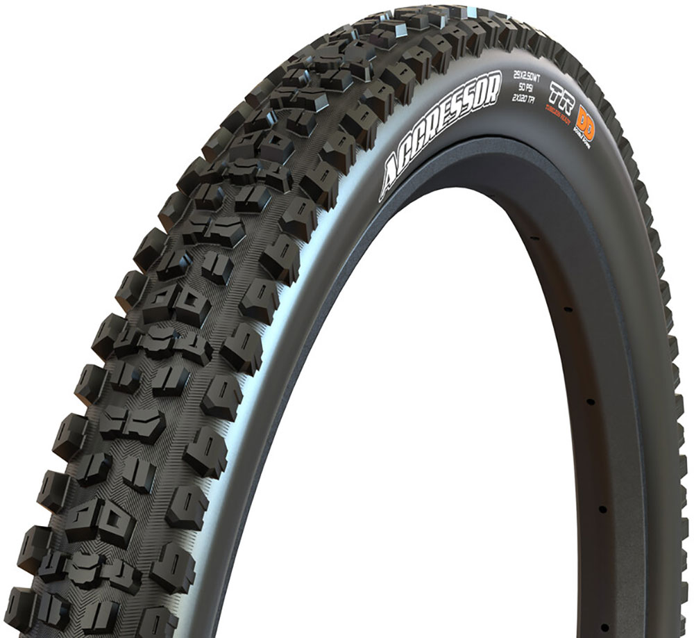 BIGBIRD 4.5より5機 schwalbe-big-betty-addix-super