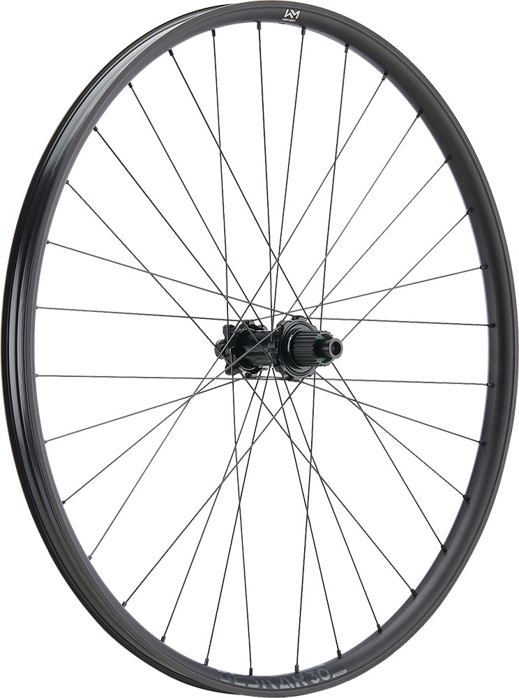 Newmen-Beskar-30-Base-Hinterrad.jpg