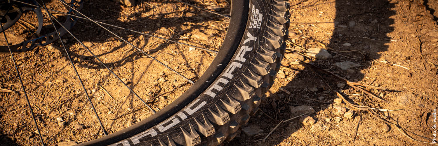 teile_e-bike_reifen.jpg