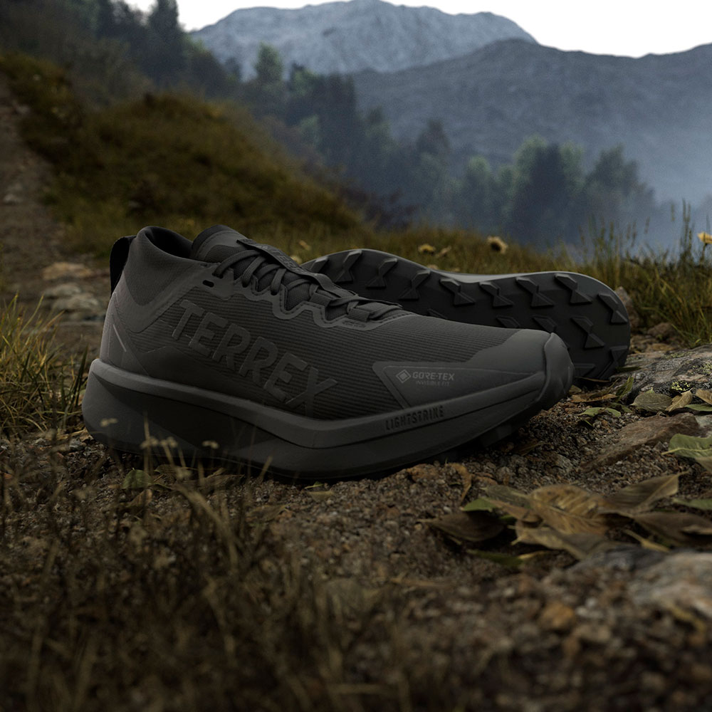 Adidas_Terrex_Agravic_GTX_cblack_cblack_gresix (1).jpg