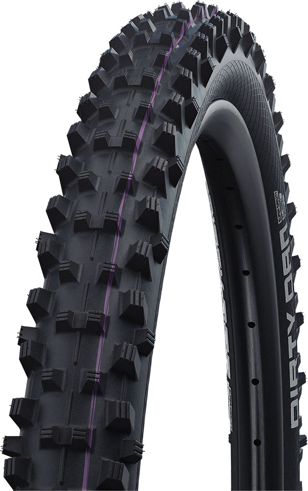 Schwalbe-Dirty-Dan-Evo-Super-Gravity-(1).jpg