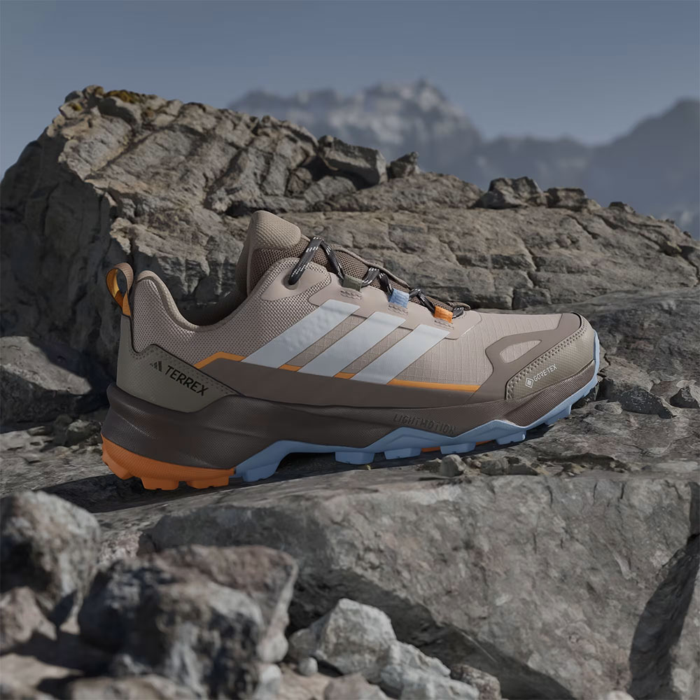 Terrex Skychaser Ax5 GTX - Scarpe outdoor da donna