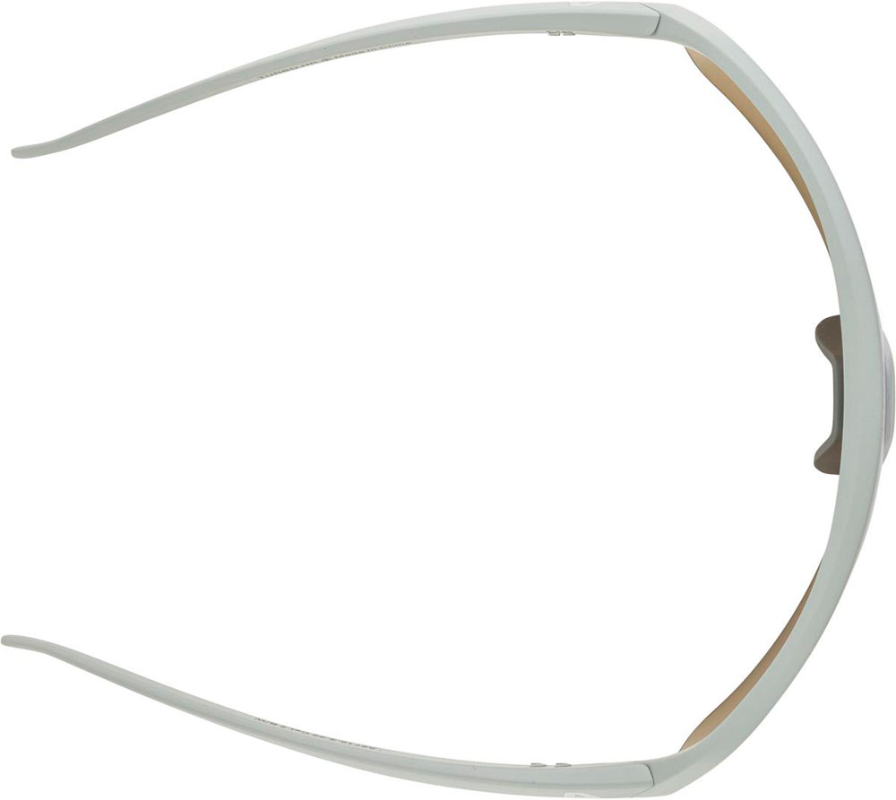 Alpina_A8712322_TurboHR_Sportbrille_ (2).jpg