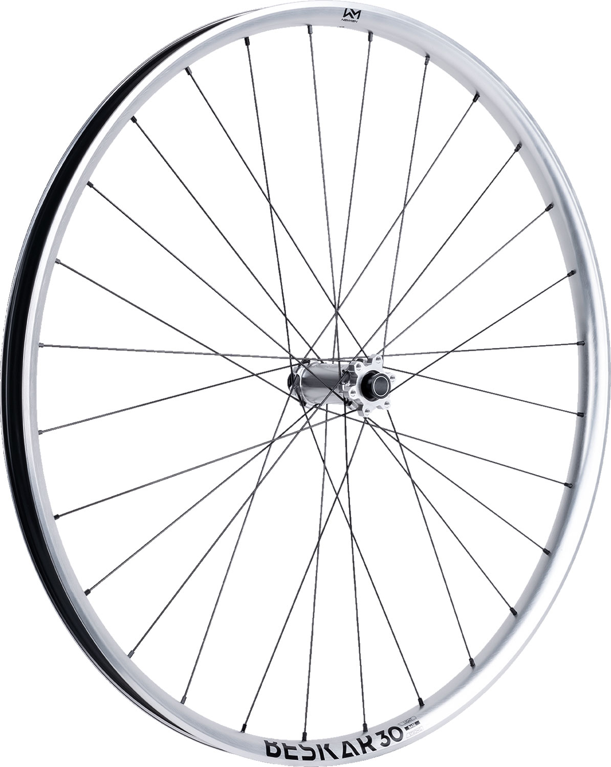 Beskar 30 base 29" 6-bolt 15x110 FADE Silver LTD front wheel