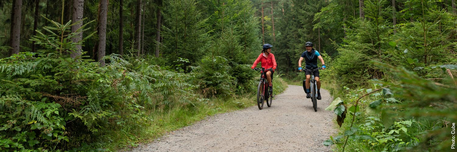 ebikes_ebikes2021_e-bike-trekking.jpg
